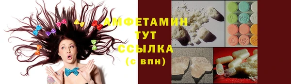 индика Волосово