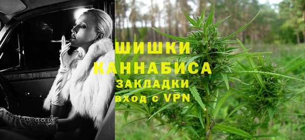 индика Волосово