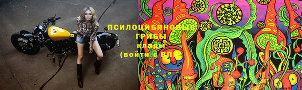 индика Волосово