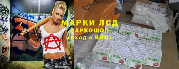 индика Волосово