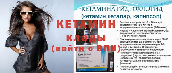 индика Волосово