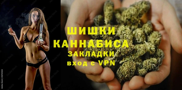 индика Волосово
