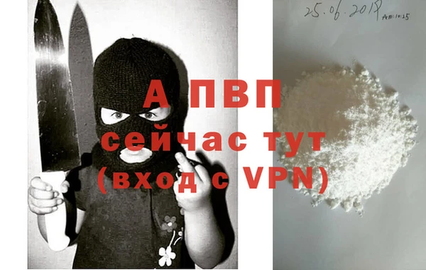 индика Волосово