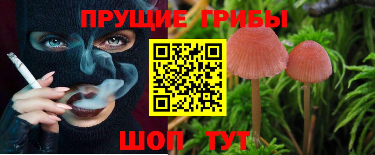 Псилоцибиновые грибы мицелий Назарово
